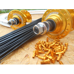 Bicicleta custom Proiect Single Speed No.1